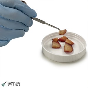 Stainless Steel Needle