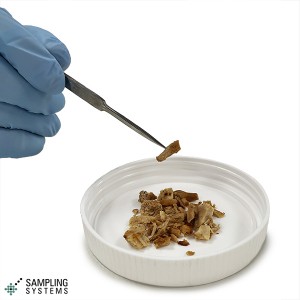 Stainless Steel Needle